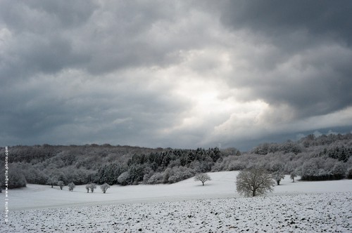 photo @ angelle-arbres-soir-pre-nuages blanc lisiere graphique hiver paisible clarte zen monochrome-paysage-neige