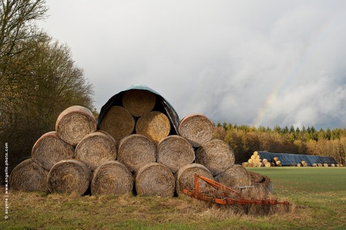 photo @ angelle -botte-foin-arc en ciel foret paysage pré courage réserve hivers pile tas monts agricole agriculture 