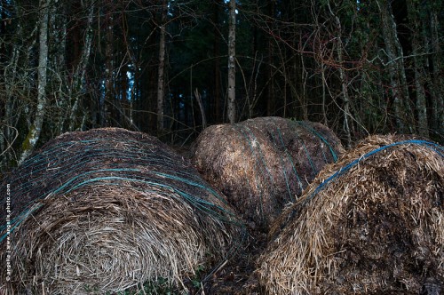 photo @ angelle -vieilles-bottes-abandon-saison-foret-fil bleu-tristesse-monstre-fatigue