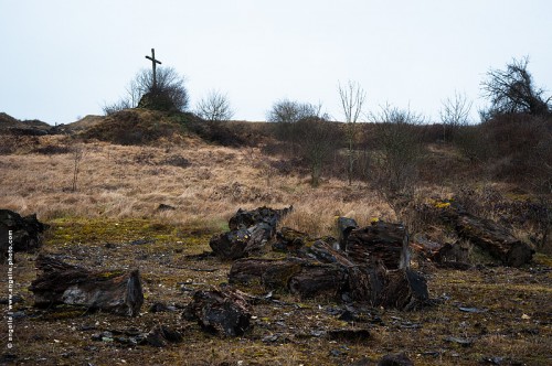 photo @ angelle-croix-friche bois stock abandon desertique isolé hivers paysage  mélancolie