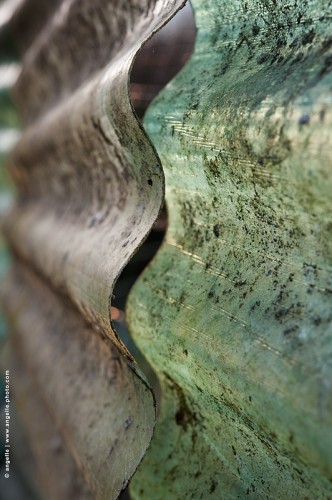 photo @ angelle-taules-gondolees-verteenclos fermeture ferme brillance utilitaire disjoindre symétrie