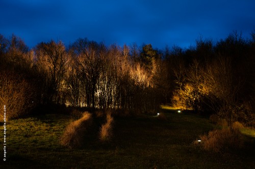 photo @ angelle-bondieuse-terrain-nuit foret jardin campagne lumiere décors douceur crépuscule chemin