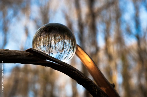 photo @ angelle -boule-reflet-foret-hiver mystère inverser regard lumiere magie