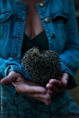 photo © angelle-herisson-main été boule peur protection rencontre crépuscule animal