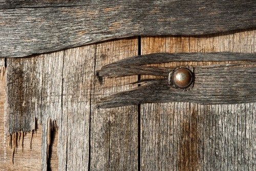 photo  angelle-porte--oiseaux vision imaginaire bois use clou oeil 