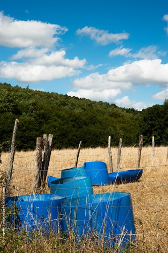 photo © angelle-cuves-bleues-ciel-pommele nature pré plastique harmonie abreuvoir