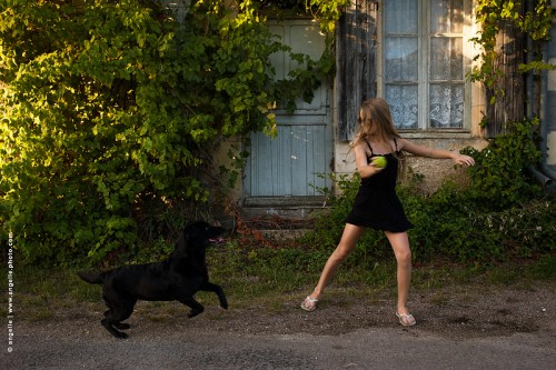 photo @ angelle -chien fillette jeu balle soirée vacances été instant mouvement noir 