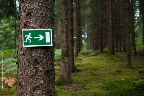 photo © angelle-foret-panneau sortie de secours allee de douglas insolite
