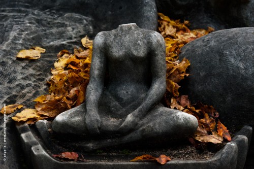 photo @ angelle-boudha-sans-tete-parc agronomique symbole beauté contraste  statue douceur attente riviere de feuilles automne