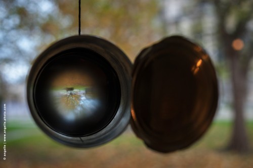 photo @ angelle-boite-conserve-loupe-paysage-beauvais magie arbre inversé sotenopé  chambre