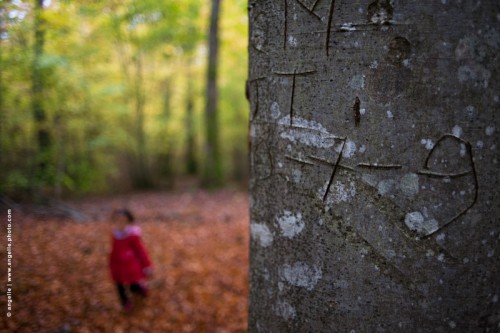 photo © angelle filette-rouge-foret-arbre-chiffre-promenade automne chaperon jeux