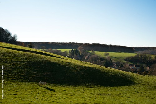  photo © angelle vache-pré-lumiere-rasante campagne solitaire village hameaux courbe paysage hiver