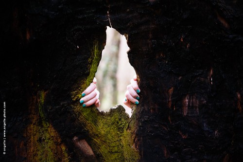 photo © angelle-ongles-cyan-mains- mystere- foret ouverture couleur lumiere intérieur tronc vieil-arbre