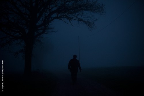 photo  © angelle-nuit-chemin-arbre isole marcher soir mystere effrayant route 