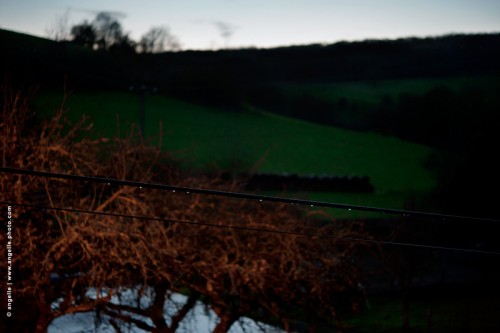 photo © angelle-cable-goutes-crepuscule-vue-fenetre pluie hivers pré arbre finesse