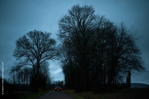photo © angelle-route-arbres-voiture-nuit voyage imaginaire message majestueux départ espace