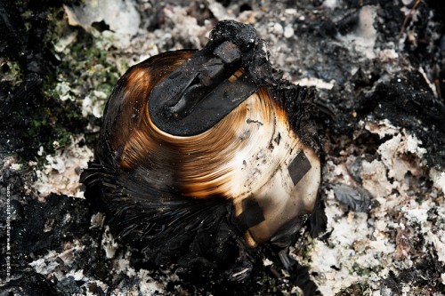 photo © angelle feu bobine papier bruler cendre metal poesie destruction
