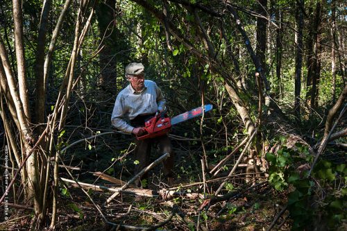 photo © angelle forestier-foret-tronsoneuse couper foret entretenir exploiter arbre puissance