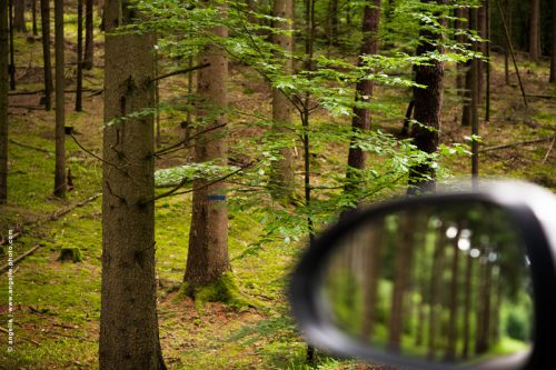 _DSC1689-foret-retro-alsace nature arbres pins voiture voyage paysage vert geometrique
