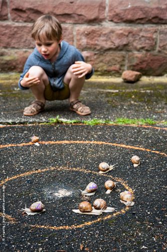 _DSC2187-escargots enfant course jeux suspens animaux plaisir coquille glisser 