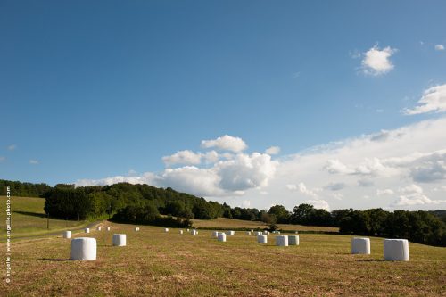 photo © angelle-pres-ensilage-blanc nuage nature paysage mouvement art contemporain rouleau culture récolte