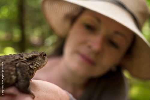 photo © angelle-crapeau-sophie nature conte de fee regard foret rencontre ironie