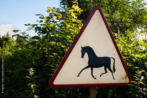 photo @ angelle-panneau-cheval-equitation chevaux signalisation triangle élégance posture campagne