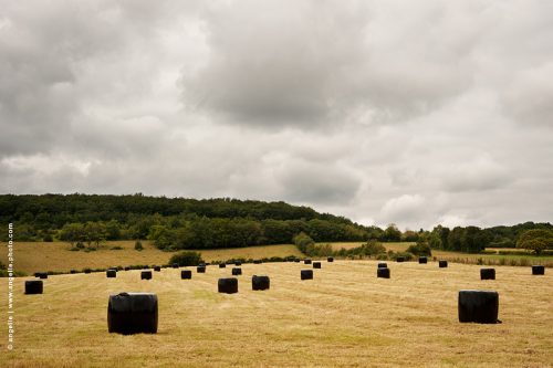 photo © angelle-pre-foin-rouleaux-noirs herbe jaune nuages-campagne-culture-recolte ensilage- nature paysage