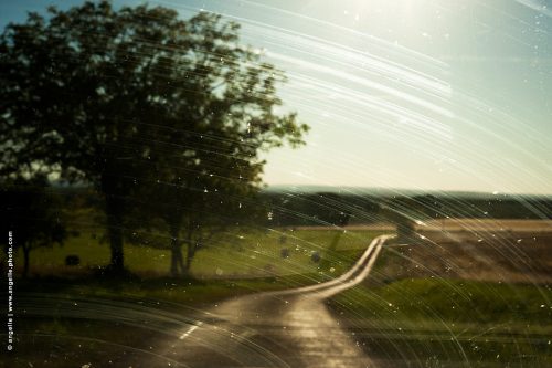 photo © angelle-pare-brise-route-contre-jour estival routes vertes insectes ondulation ruban de route paysage champs vision reflets lumiere