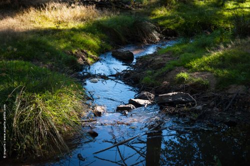 photo @ angelle-herbes-ruisseau calme sinueux paisible vivant nature bleu douceur