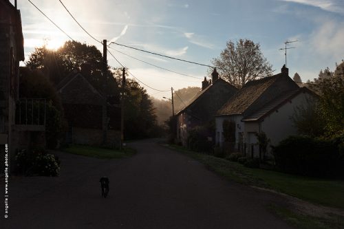 photo © angelle-bondieuse-rue-brouillard matin village campagne contre jour chien désert