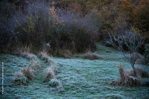 photo © angelle-gelee-blanche jardin automne couleur automne chemin