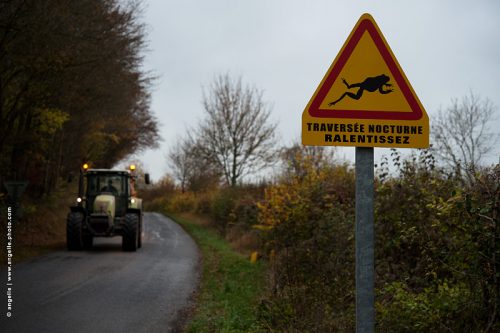 photo © angelle-panneau-grenouille tracteur automne campagne surprise sauvegarde protection route 