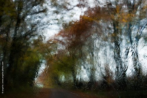 photo © angelle-pare-brise-chemin-foret pluie automne campagne déformation peinture couleur onduler