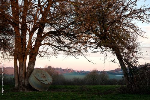 photo  angelle-bassine-arbres-fin d après midi campagne paix douceur étonnant lumiere paysage