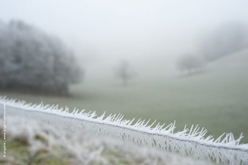 photo © angelle-cable-vallon-givre paysage brouillard froid hivers gelée douceur