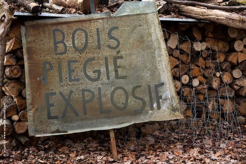 photo © angelle bois foret danger fautes coupe de bois propriété bêtise