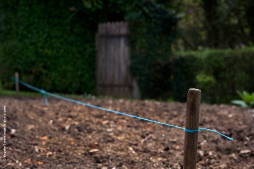 photo © angelle jardin cordeau ligne bleu jardin jardinage terre retournée porte fond jardin