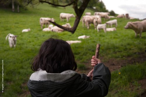 photo © angelle vahce pré élevage enfance printemps gardienne troupeau charolais liberté curiosité découverte 
