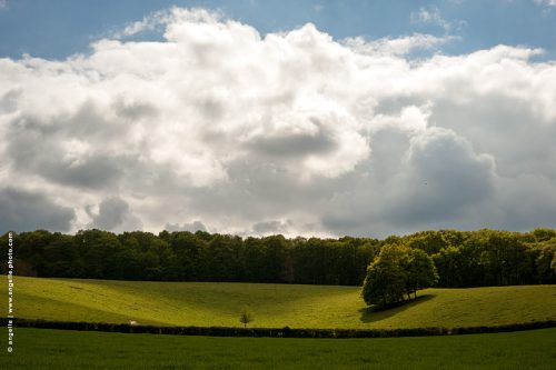 photot © angelle paysage nature vallon geometrie douceur nuage campagne lumiere