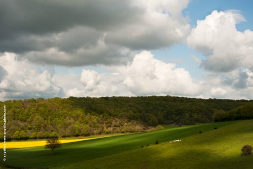 photo © angelle champs pres colza nuages lumiere paysage campagne jaune orage