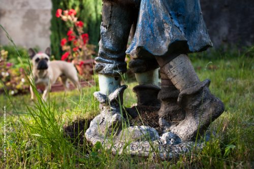 photo © angelle danse statue chien étonnement jardin kitch vie quotidienne décoration improbable 