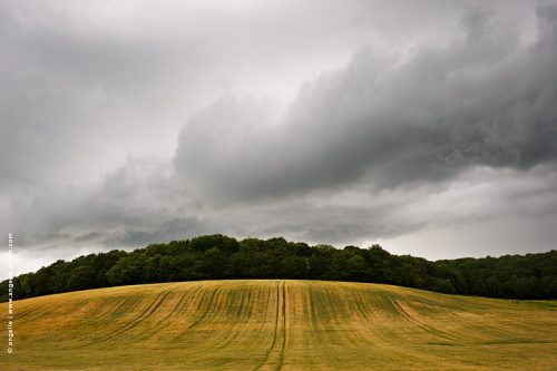 photo © angelle paysage courbe orage nuages étendu culture champs foret ampleur pluis