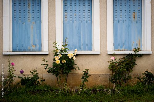 photos © angelle fenetre volet rosiers maison fermee couleur bleu harmonie 