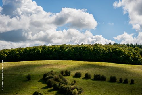 photo © angelle vallon nuages paysage ligne arbres foret jeux de lumiere changeant graphique