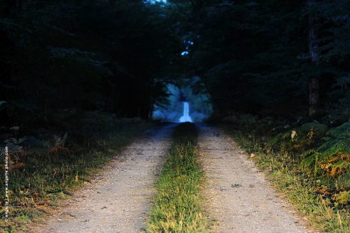 photo © angelle chemin foret crépuscule mystere étrange bout du monde phare direction voyage évasion