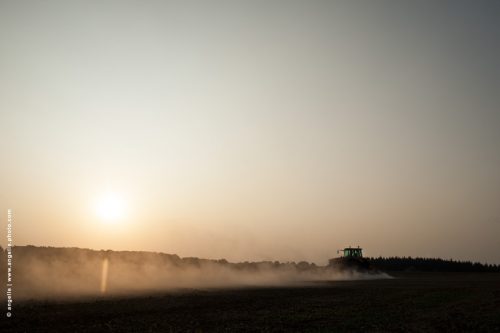 photo ©  angelle tracteur cultivateur soir matin labour lumiere poussière travail paysan magique lumiere paysage