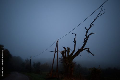 photo © angelle route soir nuit arbre mort silhouette mystère impressionnant ligne électrique mouvement fuite phares 