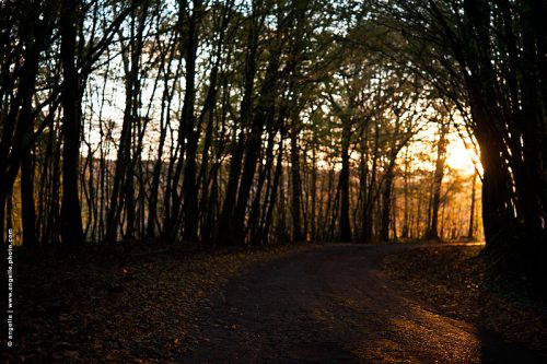 photo © angelle route automne soleil couchant évasion virage lumiere doucher promenade avancer