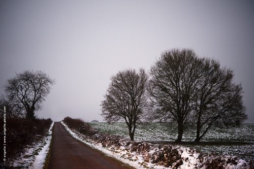 photo © angelle arbre route rouler neige campagne arbres nus hivers graphique soir